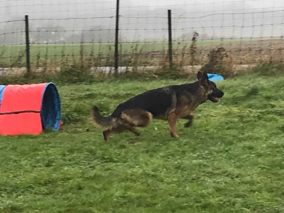 Antje vom bucherhof