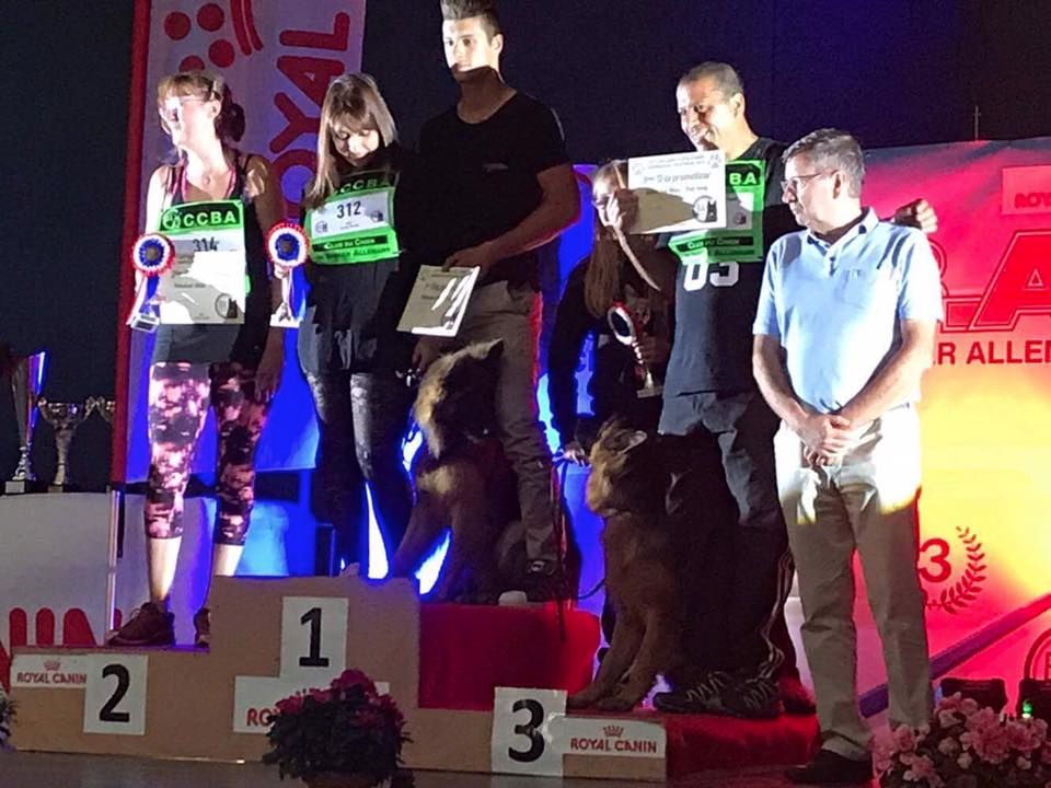du repaire du Berger Allemand - CHAMPIONNAT DE FRANCE 2017
